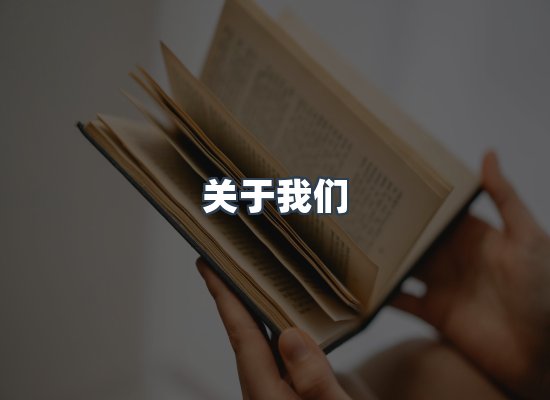 关于我们
